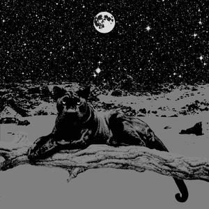 Leveza das Matinas (Versão Instrumental)