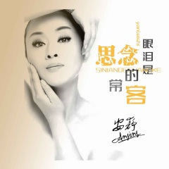 眼泪是思念的常客 (DJ默涵版)