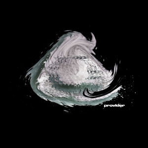 Provider
