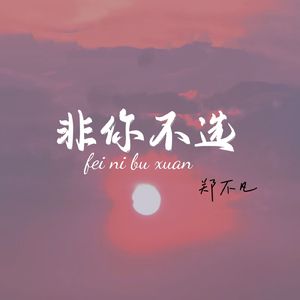 非你不选