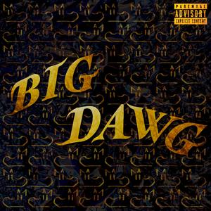 BigDawg