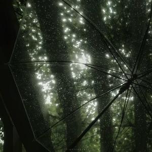 誓言是一场有时差的雨