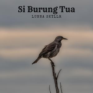 Si Burung Tua