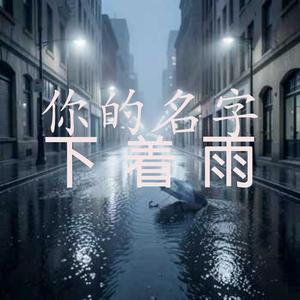 你的名字下着雨