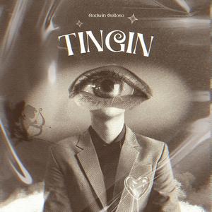 Tingin