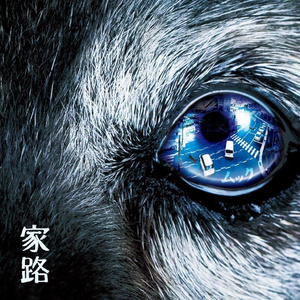 家路 -2017 飛翔-
