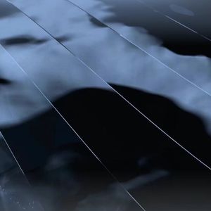 走向我是为了离开我