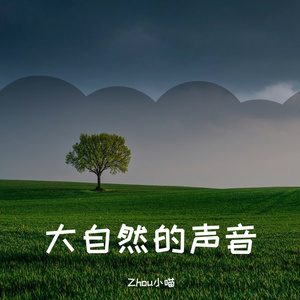 夜雨悄悄的下，虫儿还没有歇息