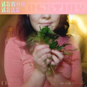 Destiny (Dasiwa 다시와)