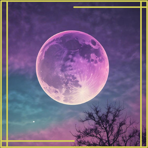 目を閉じればあなたが見える