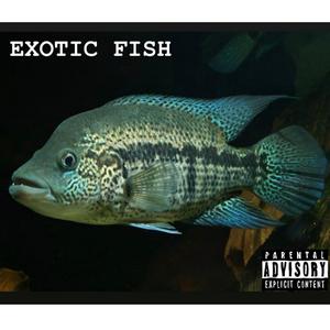 Exotic Fish