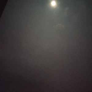 漂-曹思义 翻弹