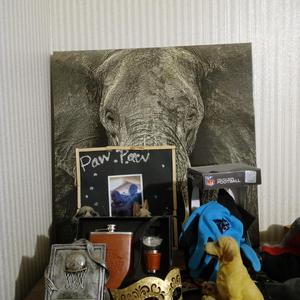 Out Sight Out Of Mind