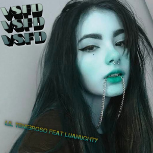 VSFD
