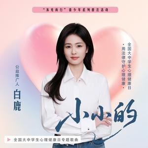 小小的 (伴奏)