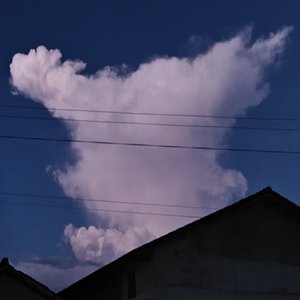 cffhBat