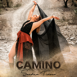 Camino