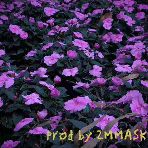 韭菜坪（prod.Wazier)