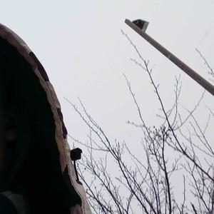 NO TIME (feat. Isthatfr0st, Mir Blackwell, Lazzlo1k, Rap-Roasted & Tr3dawggg)