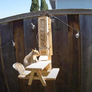 Nik (Mark Rober Version) (Mark Rober Version)