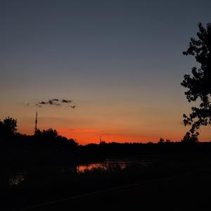 Can U Feel The Love Tonight