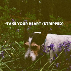 Take Your Heart (Stripped)