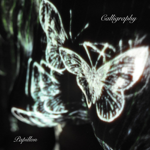 In Winged Words (feat. Mike Wird, John Banzai & 2Y's)