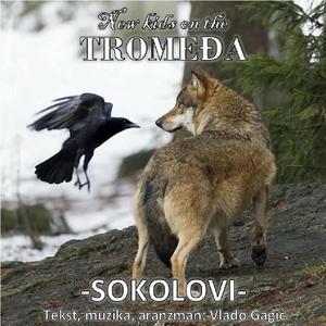 -SOKOLOVI-