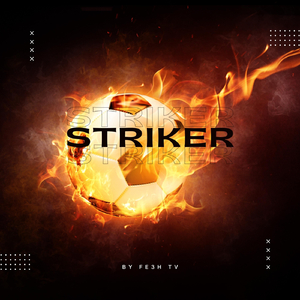 Striker