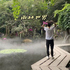 雨林世界