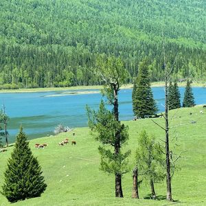 《Guitar and Melody》050