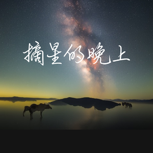 摘星的晚上