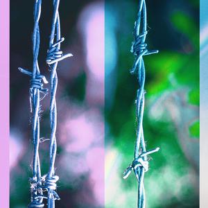 Light