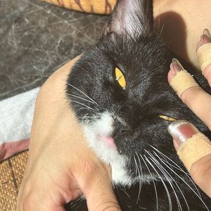 射入裂缝中的阳光