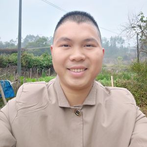 欢乐新年快乐(国语版)