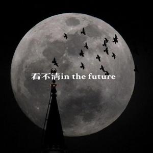 看不清in the future