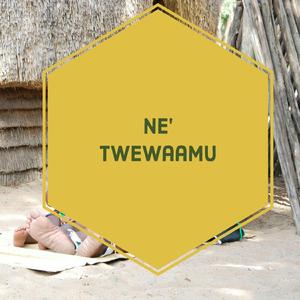 Netwewaamu