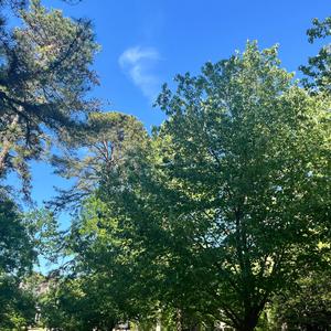 Its not your fault (Acoustic)