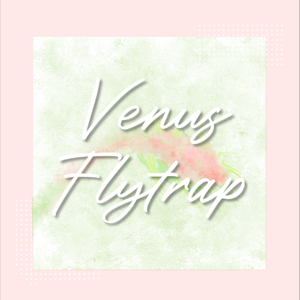 Venus Flytrap feat. 佐藤千亜妃