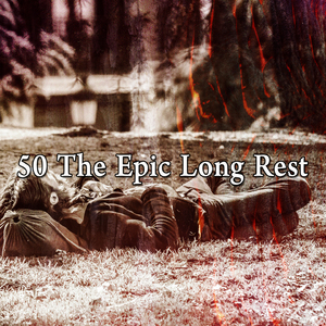 通過寧靜尋找睡眠