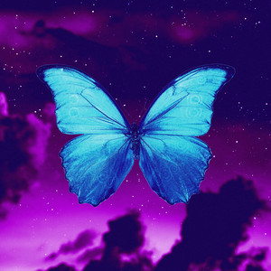 Schmetterling