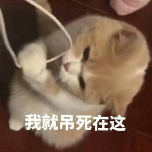 游巷长安（纯音版）