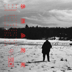 One Line Scanning (Live)