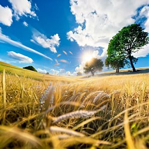 觉得忧郁就吹吹风（Prod by MRZ）（demo）