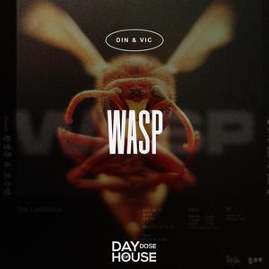 Wasp