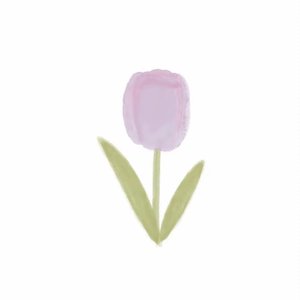 花的信筏