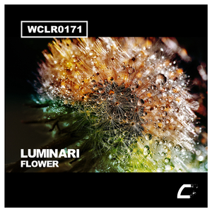 Flower (Extended Mix)