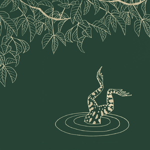 Seijaku (feat. Marco Lienhard)