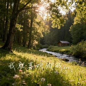 我就喜欢做我喜欢的事