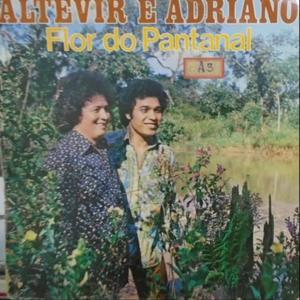 COLHENDO SAUDADE (ALTEVIR)(